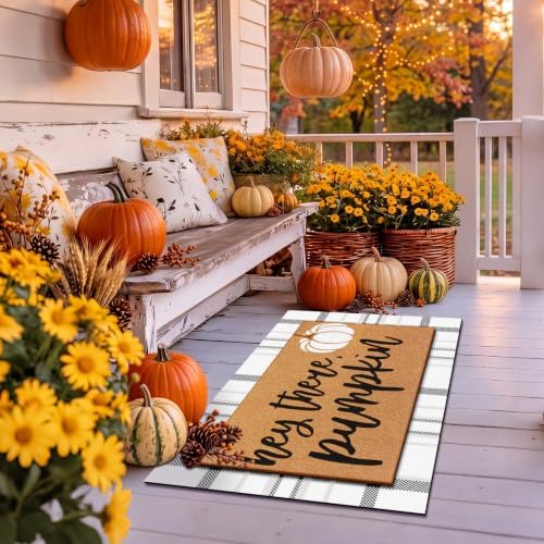 Drydiet 2 Pcs Fall Layered Doormats Neutral Fall Pumpkin Coir Welcome Mat - Image 6
