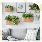3 Pcs Wall Hanging Baskets,Scalloped,Natural Tan,Paper Cord - Image 6