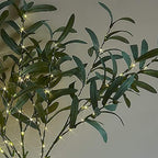 Hairui Lighted Olive Branches with Timer 24IN 72LED Battery Operated, Artificial Greenery Olive Tree Branch with Fairy Lights for Wedding Christmas Home Indoor Outdoor Decoration - Image 2