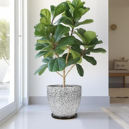 10 Inch Plant Pot - Ceramic Planter for Indoor Outdoor, Round Large Plant Pots, Modern Planter with Drainage Hole and Tray, Home Room Office Garden Decor, Gifts for Women Men, White-Black - Image 4