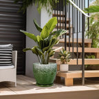 10 Inch Plant Pot - Ceramic Planters for Indoor Plants Outdoor, Large Planter with Drainage Hole and Saucer, Decorative Round Flower Pots, Garden House Decor, Gifts for Plant Lovers, Green - Image 5