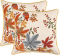 Fall Embroidered Throw Pillow Covers 20x20 Pack of 2 Vintage Birds by Tosleo