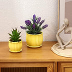 Yellow Ceramic Flower Pots with Saucers, Modern Round Ceramic Succulent Plant Pots with Stripe Texture, Small to Medium Sized, Set of 3 - Image 3