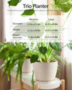 Plant Pots, Flower Pots, Planters for Indoor Plants(6.5+5.5inch), Flower Pots for Indoor Plant with Drainage Hole and Saucer, Ceramic Pots for Plants with Hole Mesh Pad,Reactive Glaze White - Image 2