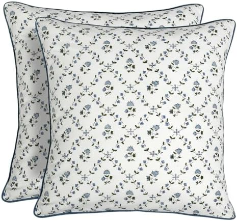 Ridhi Block Print Powder Blue Pillow Cover 18" x 18" (Pack of 2) Decorative Couch Pillows for Living Room, Farmhouse Chic Boho Cute Outdoor Pillows Covers Gifts for Spring, Mother's Day by Ridhi