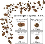 Winlyn 2 Pack Rustic Natural Pinecone Garland 4.6ft Hanging Pinecones Vine Assorted Dried Pine Cones String for Farmhouse Home Thanksgiving Christmas Holiday Woodland Backdrop Wreath Table Centerpiece - Image 2