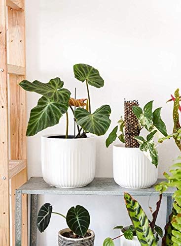 LE TAUCI Ceramic Planters, 8.3/7/6 Inch Indoor Pots for Plants with Drainage Holes & Mesh, Modern Matte Glaze Cylinder Fluted Plant Pot for Snake Plant, Set of 3, White - Image 4