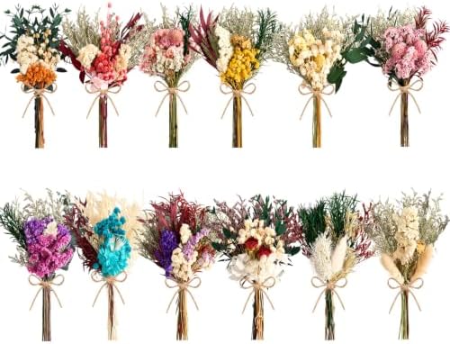 12/24PCS Handmade Dried Flower Bouquet with Stems Natural Dried Wildflowers 7.5 Inch Mini Dry Flowers for Vase Farmhouse Decor, Wedding Styling, Photography Props, Gift DIY(12pcs, Colorful) by Unknown