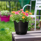 8 Inch Plant Pot - Ceramic Pots for Plants with Drainage Hole and Saucer, Round Planter for Indoor Outdoor, Modern Flower Pot, Gifts for Plant Lovers, Home Room Garden Porch Decor, Black - Image 4
