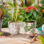 Sungmor 5.5 Inch Ice Crackle Glaze Ceramic Planter - 2 Pack Green & Grey - Image 2