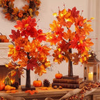 Baquler 2 Pcs Fall LED Lighted Birch Trees 24 in, Autumn Tabletop Decor by Baquler