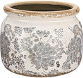 7.7" Large Ceramic Plant Pot Beige Gray Rustic Peony Crackle Glaze Rustic Flowers Pot Decorative Planter with Drainage for Indoor Outdoor Plants Home Kitchen Office Decor Gift by Unknown