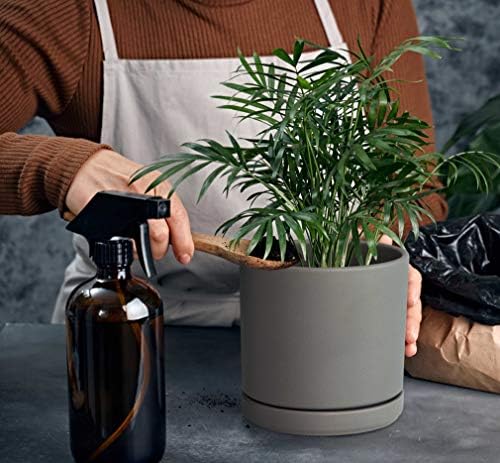 D'vine Dev 2-Pack Ceramic Pots with Saucers, Grey, 6 in, 94-V-C-3 - Image 6