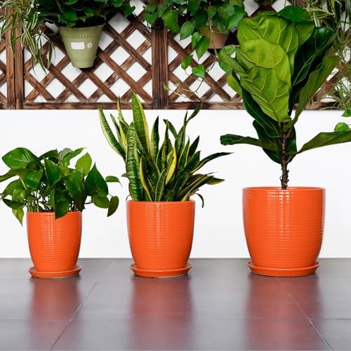 12 Inch Plant Pot, Ceramic Planters for Plants with Drainage and Saucer, Orange - Image 7