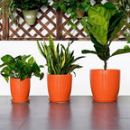 8 Inch Plant Pot, Ceramic Planters for Plants with Drainage and Saucer, Orange - Image 7