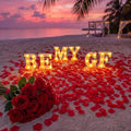 Ceenna Will You Be My Girlfriend Proposal Decoration Set,Red,Classic by Ceenna