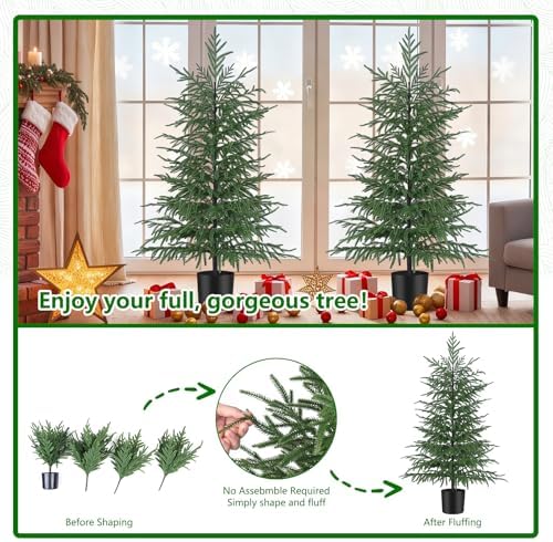 Grooy 2 Pack 4FT Artificial Norfolk Pine Tree - Image 4
