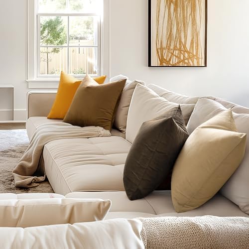 MIULEE 24x24 Inch Pack of 2 Euro Velvet Throw Pillow Covers Beige - Image 3