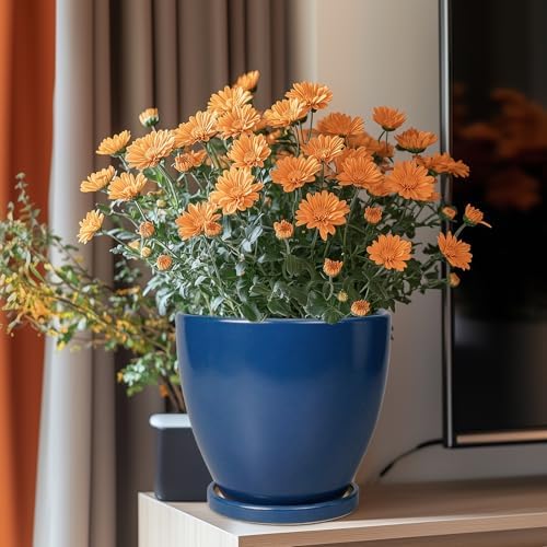Ceramic Plant Pot - 8 Inch Planter for Indoor Outdoor Plants, Round Flower Pots with Drainage and Tray, Home Office Decor, Blue - Image 2