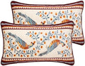 patdrea Designer Velvet Throw Pillow Cover,Set of 2,12"x20"-Moritz C by patdrea