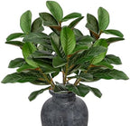 Briful Artificial Magnolia Leaves Stems 3PCS 29.1" Faux Magnolia Branches Fake Greenery Stems for Tall Vase Floral Arrangement Wedding Bouquet Centerpiece Rustic Home Decoration by Briful
