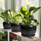 SQOWL Ceramic Flower Pot - 10 Inch Planter with Drainage Hole and Saucer, Modern Large Plant Pot Indoor Outdoor, Decorative Round Planter, Bedroom Decor, Gifts for Plant Lovers, Black - Image 6