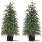 Grooy 3FT Artificial Cedar Topiary Trees, 2 Pack Fake Shrubs with Pot by FEELTHENEWWORLD