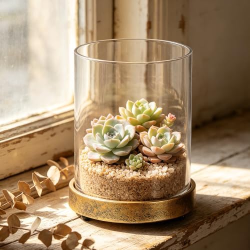 5" Wide Glass Hurricane Candle Holders and Glass Vase with Minimalism Metal Base in Antique Gold, Handmade and Sturdy Glass, Pillars, Flower Arrangement, Centerpiece, Dining Table, Console, Mantel - Image 5