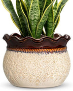 Ceramic Flower Pots, 10 Inch Ceramic Planter, Beige-Brown by Fivepot