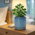 D'vine Dev Beaded Ceramic Pot with Saucer, 6 in, Ocean Teal, 27-C-X-8 - Image 2