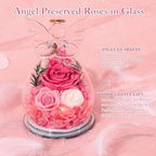 Gifts for Women Preserved Rose Forever Flower in Glass Angel Figurines Fresh Flowers for Delivery Prime Mothers Day Birthday Gifts for Mom Real Pink Roses for Grandma Sister Wife Her from Daughter - Image 6