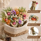 12/24PCS Handmade Dried Flower Bouquet with Stems Natural Dried Wildflowers 7.5” Mini Dry Flowers for Vase Farmhouse Decor, Wedding Styling, Photography Props, Gift DIY(24pcs, Gerbera Daisy) - Image 5