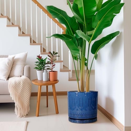 Eightpot 12 Inch Pot for Plants - Ceramic Planter for Indoor Plants Large Plant Pot with Drainage Holes and Saucer Outdoor Flower Pot Decorative Round Planter for Porch Office Decor Blue - Image 5
