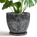 Ceraimc Planter - 8 Inch Plant Pot for Indoor Outdoor Plants, Decorative Round Planters, Flower Pot with Drainage and Saucer, Garden Porch House Room Decor, Plant Lover Gifts, Grey by EPFamily