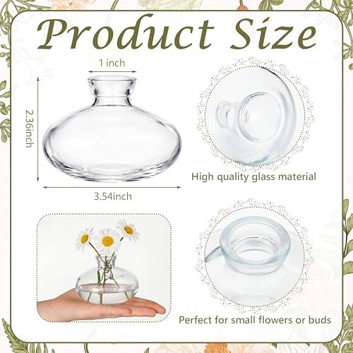 Hushee 12 Pcs Bud Vases Bulk Glass Small Vases for Flowers, Short - Image 2