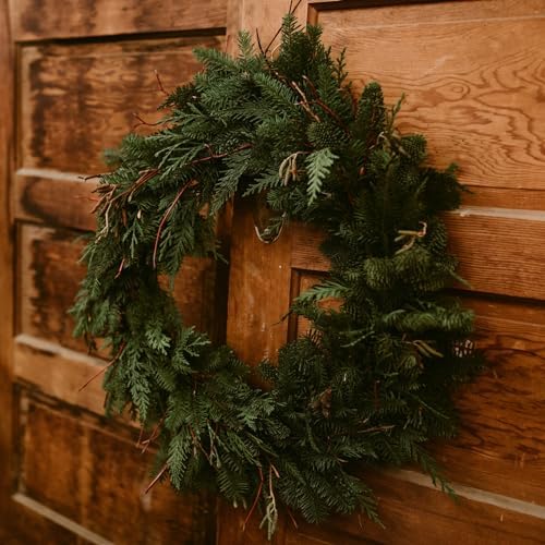 14 Inch Christmas Green Wire Wreath Frame,10 Pack Metal Front Door Wreath Round Form Iron Ring for Christmas, New Year Decors, Crafts, DIY, Holidays, Events - Image 6