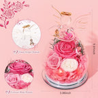 Gifts for Women Preserved Rose Forever Flower in Glass Angel Figurines Fresh Flowers for Delivery Prime Mothers Day Birthday Gifts for Mom Real Pink Roses for Grandma Sister Wife Her from Daughter - Image 2