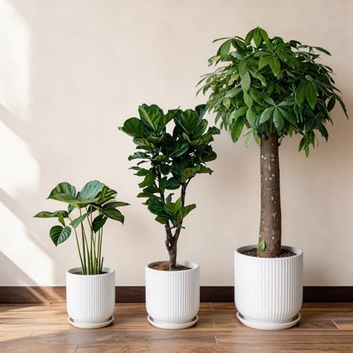 Deep Dream 8 Inch Ceramic Pots for Plants, Heavy Plant Pot for Indoor Outdoor Plants, Large Plant Pot with Drainage Hole and Saucer, Modern Tall Flower Pot, Gifts for Plant Lovers, White - Image 7