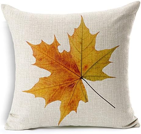 All Smiles Fall Outdoor Throw Pillow Covers 26x26 Set of 4, Thanksgiving - Image 2