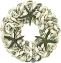 Natural Seashell Wreath w/Shells, Starfish, Pearls, Sea Snails - Spring & Summer Coastal Decor Beach House Indoor Door Wreath, 18in Green by GaltInternational