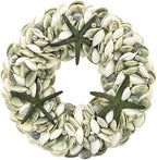 Natural Seashell Wreath w/Shells, Starfish, Pearls, Sea Snails - Spring & Summer Coastal Decor Beach House Indoor Door Wreath, 18in Green by GaltInternational