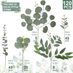 Daynight 120 Pcs Artificial Mixed Eucalyptus Stems Bulk, Green - Image 4