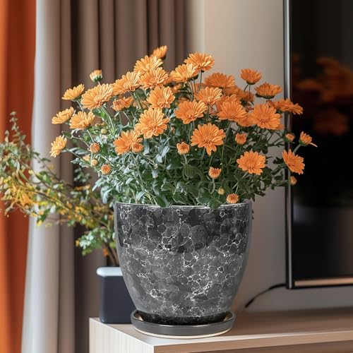 Ceraimc Planter - 8 Inch Plant Pot for Indoor Outdoor Plants, Decorative Round Planters, Flower Pot with Drainage and Saucer, Garden Porch House Room Decor, Plant Lover Gifts, Grey - Image 2