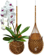 Handmade 100% Thai Bamboo Super Sanctuary Hanging Orchid Basket - 6 Inch Set of 2 by Panwa
