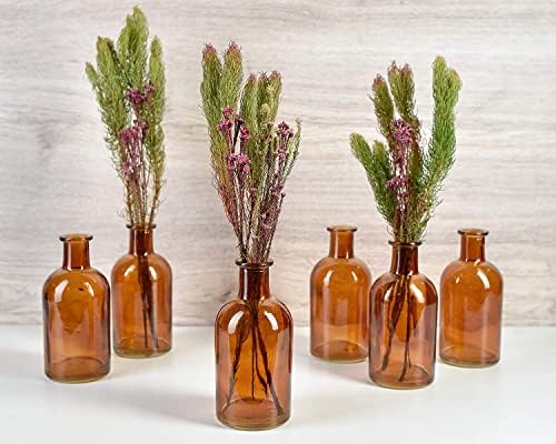 Serene Spaces Living Bud Vases, Apothecary Jars, Decorative Glass Bottles, Centerpiece for Wedding Reception, Mini Flower Vases, Small Medicine Bottles for Home Decor (Amber, Set of 24) - Image 3