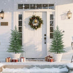 Grooy 2 Pack 4FT Artificial Norfolk Pine Tree - Image 2