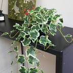 Fake English Ivy Plants in Pots Set of 2 – Realistic Artificial Ivy Greenery for Home Decor, Tabletop, Office, Shelf, Balcony, Lifelike Faux Hanging Vines, No Maintenance Required - White and Green - Image 6