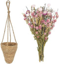 Front Door Basket Wreath Natural Dried Flower Bouquet Hanging Wicker Wall Basket Lavender Eucalyptus Globe Amaranth Handmade Wall Planter for Porch Boho Farmhouse Summer Fall Home Decor by Unknown