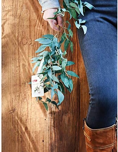 FiveSeasonStuff Hanging Rustic Willow Garlands, Bendable Artificial Greenery Vine Leaves for Wedding Home Decoration (2 pcs, 11.8 feet) - Image 4