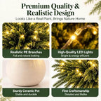 2027 New 10/12 Piece Set Twinkling Tree, Enchanted Evergreen Pine with Lights, Christmas Winter Tabletop Decorations for Mantel, Vase, Shelf & Holiday Home Décor (10) - Image 3